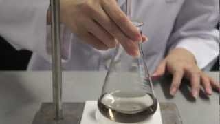 Titration Step 4  Performing the Titration [upl. by Petigny915]