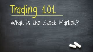 Trading 101 What is the Stock Market [upl. by Hctud]