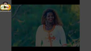 Tadesse Alemu  Mere  ታደሰ አለሙ መሬ ፡ ጥሩ ሙዚቃ [upl. by Ahsienyt]