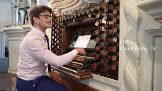 The 1728 Trost Organ in Waltershausen Germany  Bálint Karosi  Demonstration of Stops [upl. by Ridglea689]