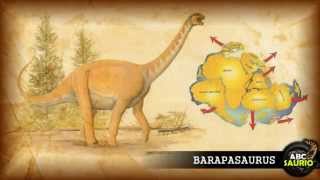 Barapasaurus  ABCsaurio [upl. by Filahk245]