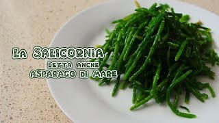 Salicornia o Asparagi di mare [upl. by Reimer]