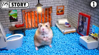 🐹 Hamster Escapes the Prison Maze for Pets in real life ep1 🐹 Homura Ham [upl. by Bebe471]