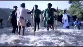 Ephrem alemu new song 2015 [upl. by Gusty]