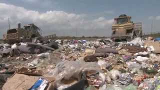 Tossed Out Food Waste in America [upl. by Atnahsal21]