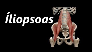 Anatomia do Íliopsoas em 3D [upl. by Batsheva]