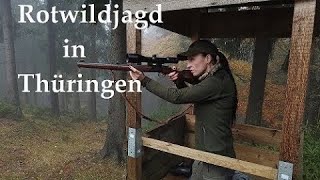 Jagd auf Rotwild in Thüringen [upl. by Niran]