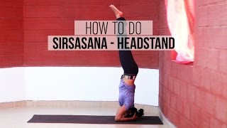 How to do Sirsasana  Headstand Yoga Pose [upl. by Legra21]