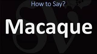 How to Pronounce Macaque CORRECTLY [upl. by Enutrof]