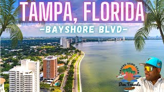 Bayshore Boulevard Tampa Florida 🌴 [upl. by Olnek]