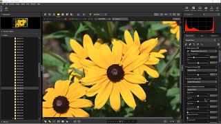 Nikon NX Studio  Review and Overview [upl. by Cassy433]