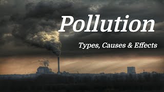 Pollution Mini Documentary Types  Causes  Effects [upl. by Luanne]