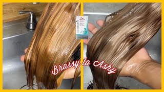 From Brassy to Ash Blonde  Which Wella Toner should I use Aquadiva [upl. by Haym]