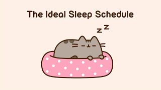 Pusheen The Ideal Sleep Schedule [upl. by Calvina]