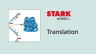 Translation Proteinbiosynthese  STARK erklärt [upl. by Ardnaik458]