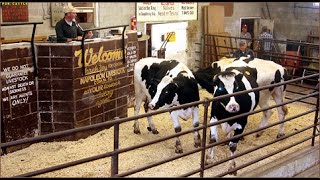 Buying and Selling at Livestock Auctions [upl. by Cherilynn]