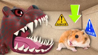 🐹Giant Jaws Hamster Maze with Traps 😱Obstacle Course😱  BONUS  Awesome Hamster Escape [upl. by Lowenstein109]