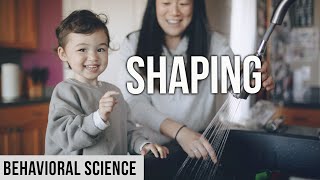 Teaching New Behaviors using Shaping amp Applied Behavior Analysis [upl. by Eijneb]