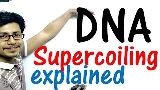 DNA supercoiling explained [upl. by Ahsenot]