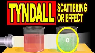 Tyndall Scattering or Tyndall Effect  Video Explanation [upl. by Ahseet]