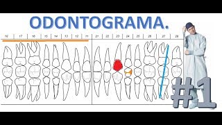 Como llenar un Odontograma  Parte 1 [upl. by Moishe]