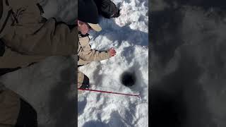 CANT BELIEVE WE CAUGHT THIS icefishing fishing troutfishing youtubeshortslike follow explore [upl. by Thelma569]