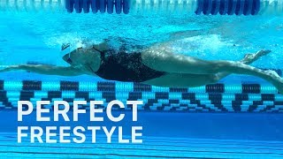 How To Swim Freestyle With Perfect Technique [upl. by Azirb]