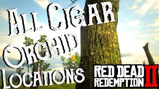 Red Dead Redemption 2  All 10 Cigar Orchid Locations Duchesses and Other Animals Exotics  RDR2 [upl. by Hara]