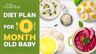 Diet Plan for a 8 Month Old Baby [upl. by Novonod]