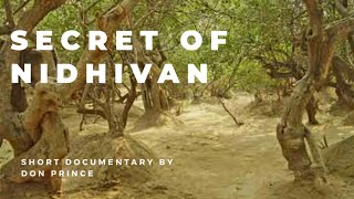 Secret of NidhivanShort Documentary  National Discovery Channel [upl. by Amabil]