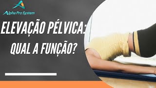 Elevação Pélvica Qual a sua Função [upl. by Lucinda]