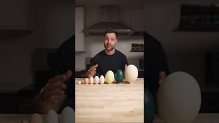 I Cooked the World’s CRAZIEST Eggs [upl. by Kciv]