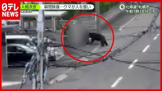 クマが背後から人襲う瞬間も…住宅街で４人ケガ 北海道・札幌（2021年6月18日放送「news zero」より） [upl. by Ennavoj]