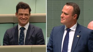 Australian MP proposes to partner during samesex marriage debate in parliament [upl. by Eirelav]