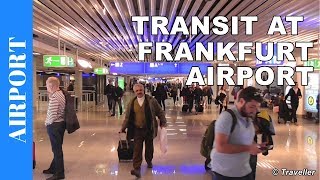 TRANSIT WALK AT FRANKFURT Airport FRA Terminal 1  Connection Flight Transfer Arriving amp Departing [upl. by Aliber460]