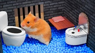 HAMSTERIOUS ESCAPE Awesome Maze in Real Life [upl. by Alwin]