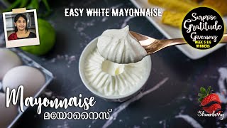 Mayonnaise Recipe Malayalam  വെറും 2 മിനിറ്റ് മതി മയോനൈസ് റെഡി  Mayo Recipe  White Mayonnaise [upl. by Abla]