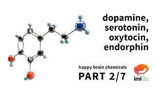 Dopamine Serotonin Oxytocin Endorphin 2 of 7  Happy Brain Chemicals [upl. by Anaert235]