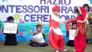 Pakistans Culture and Folk Songs by Bahria Foundation School amp College HAZRO Campus  PAKISTAN [upl. by Assirehc]